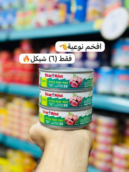 تونة ستار كيست
