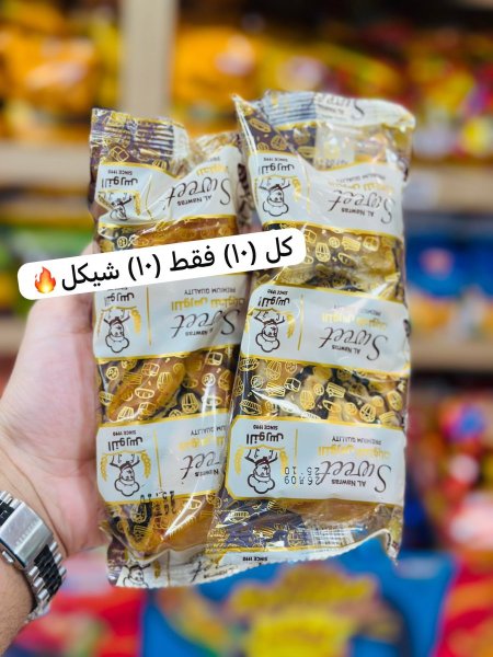 عجوت النورس حجم كبير