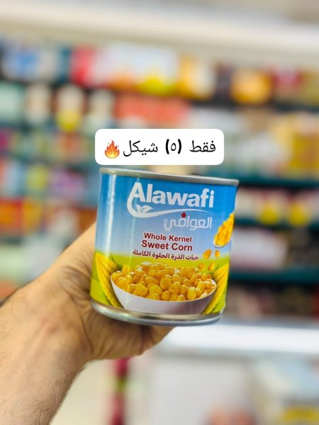 حبوب ذرة العوافي